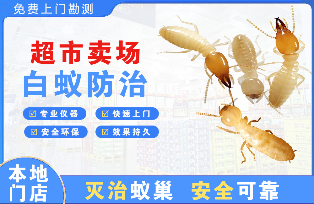 池州超市卖场白蚁防治