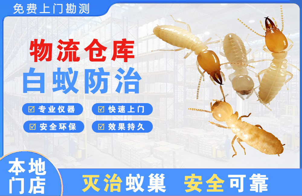 池州物流仓库白蚁防治