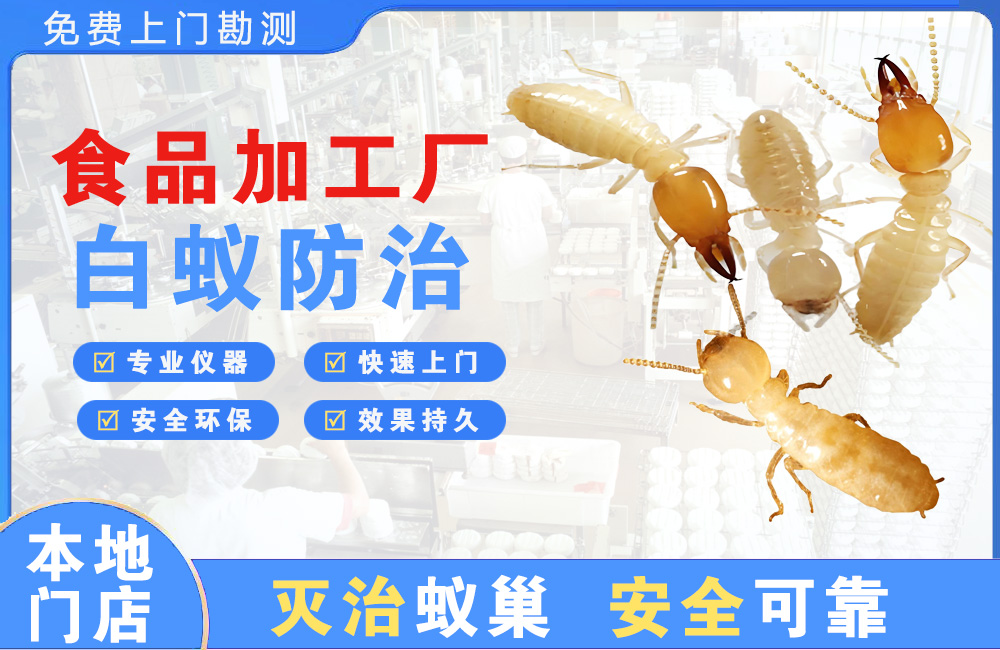 池州食品加工厂白蚁防治