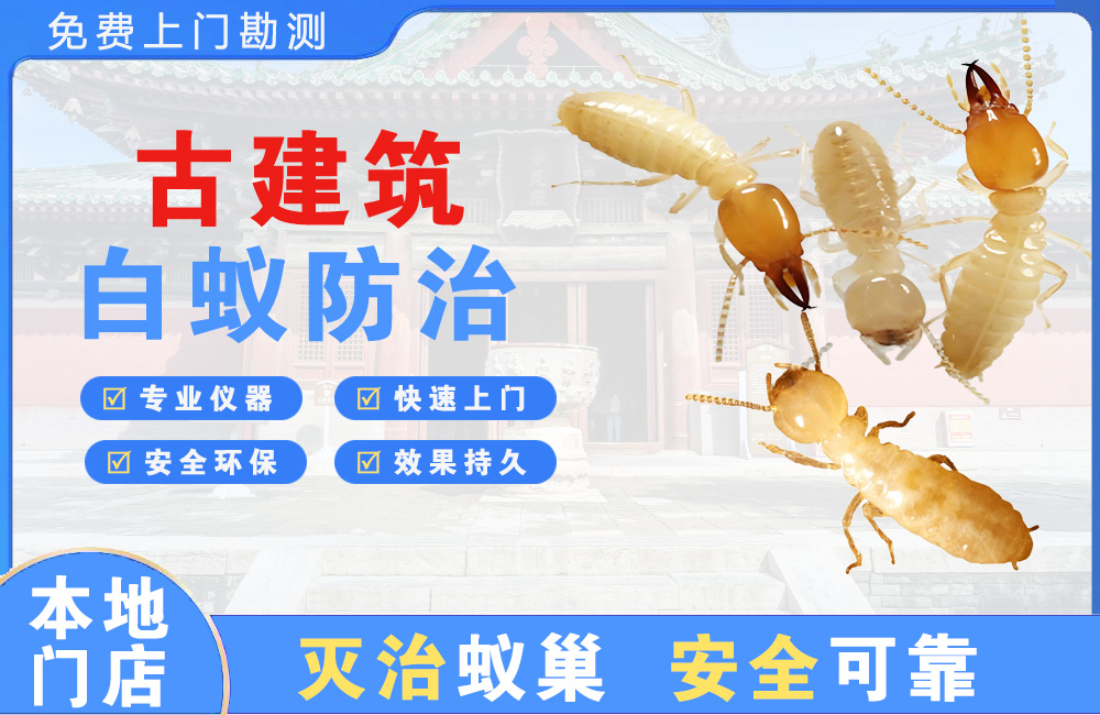 池州古建筑白蚁防治
